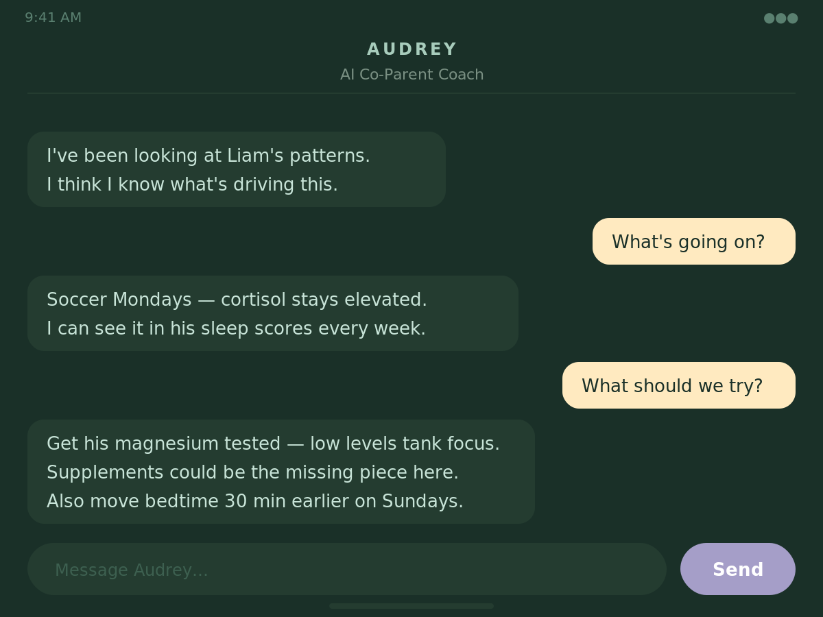 Atlas app Audrey AI co-parent chat interface